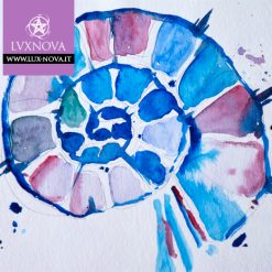 Acquerello sapphire shell 01 carta