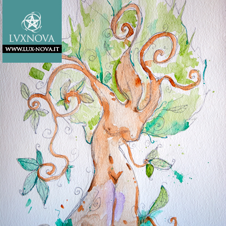 Acquerello Driade 01 carta