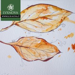 Foglia Magnolia Marrone 01 Acquerello su carta