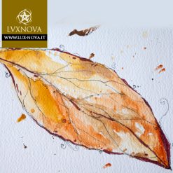 Foglia Magnolia Marrone 02 Acquerello su carta