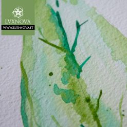 Foglia Magnolia Verde 01 Acquerello dettaglio