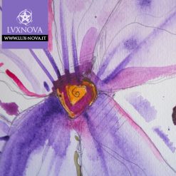 Alternative view of Acquerello Viola 02