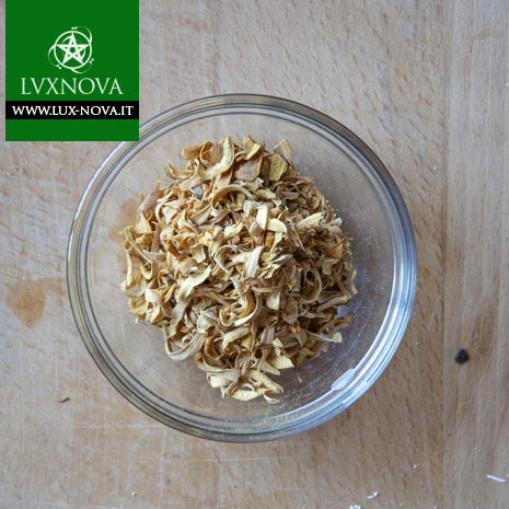 Arancia dolce fiori- Pianta ad uso esoterico e magico