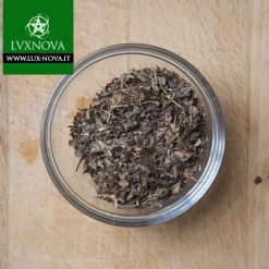 Capelvenere - Pianta ad uso esoterico e magico