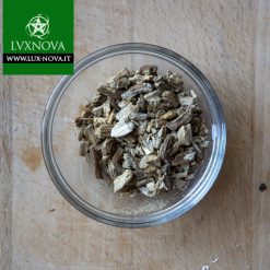 Echinacea - (Echinacea Angustifolia) - Radice - per Rituali- 25 gr.