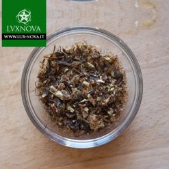 Felce - Pianta ad uso esoterico e magico