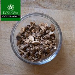 Galanga radice - Pianta ad uso esoterico e magico