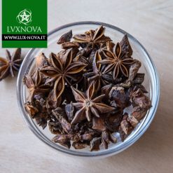 L'Anice-Stellato - (Illicium-verum)