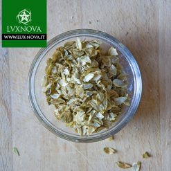 Luppolo - Pianta ad uso esoterico e magico