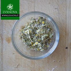 Margherite - Fiori - Pianta ad uso esoterico e magico