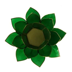 Loto Illuminazione 4° Chakra Verde-02