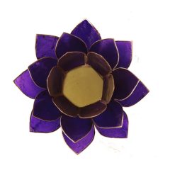 Loto illuminazione 7° Chakra viola