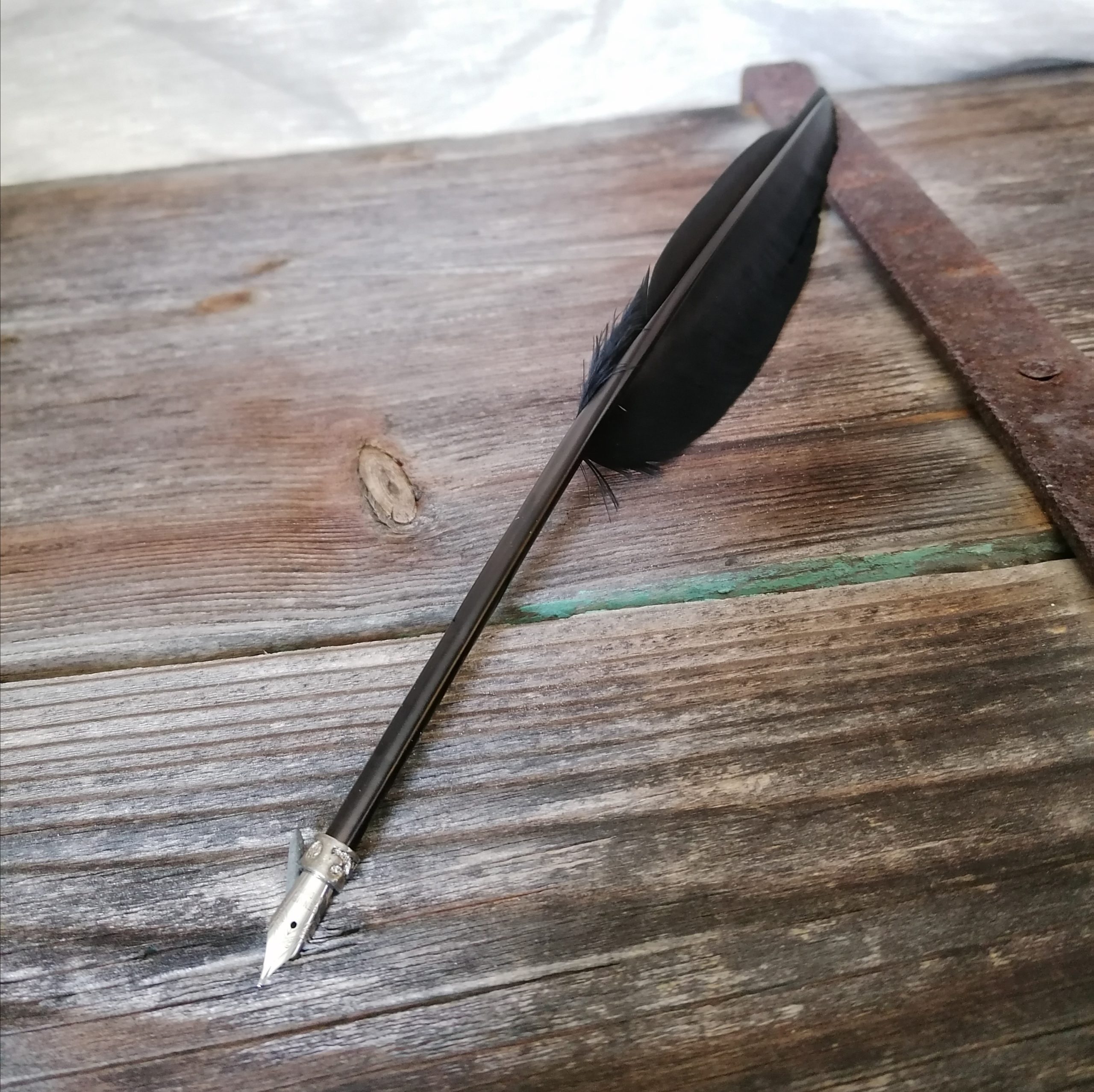 Piuma con piuma di scrittura in metallo, nero