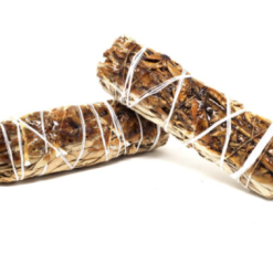 Salvia Bianca e Copal 10cm