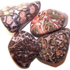 Pelle di Leopardo - L - Pietra Burattata