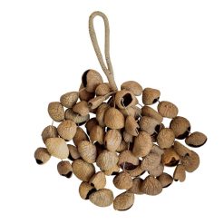 Seedshaker XXL Pangi