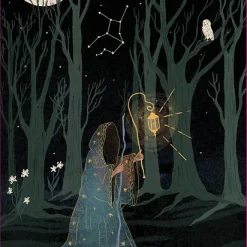 I Tarocchi Dello Zodiaco. Con 78 Carte