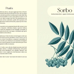 Alternative view of Moon Phases. Vivere in armonia con la luna