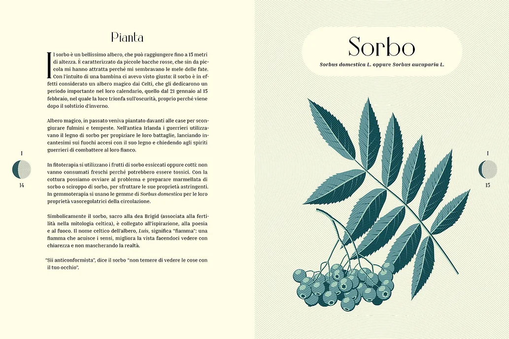 Moon Phases. Vivere in armonia con la luna - immagine 2