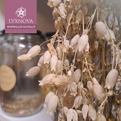 Alternative view of Amuleto Sciamanico - cuscino dei sogni con erbe e cristalli