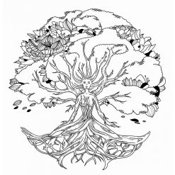 Tamburo sciamanico in pelle di capra - Dama del Bosco - 02