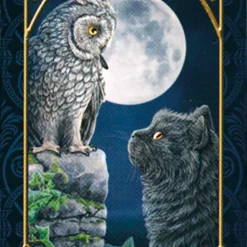 Tarot Familiars