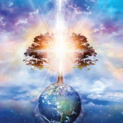 The Secret Language of Light Cards (in inglese)