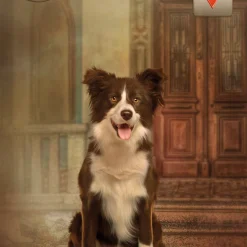 Thelema Lenormand Oracle