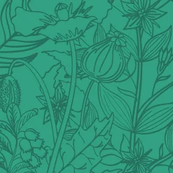 Il Piccolo Libro delle Erbe - 05