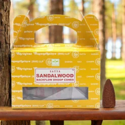 Coni di Incensi a Reflusso - Satya - Sandalo