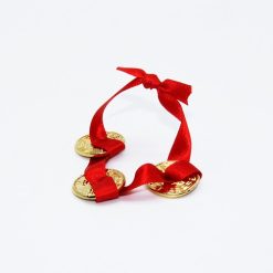 Set di monete legate, talismano per l'economia