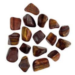 Occhio di bue multicolore A