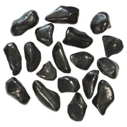 Shungite - M - A