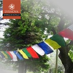 Bandiera di Preghiera Tibetana - Fila da 10 - 03